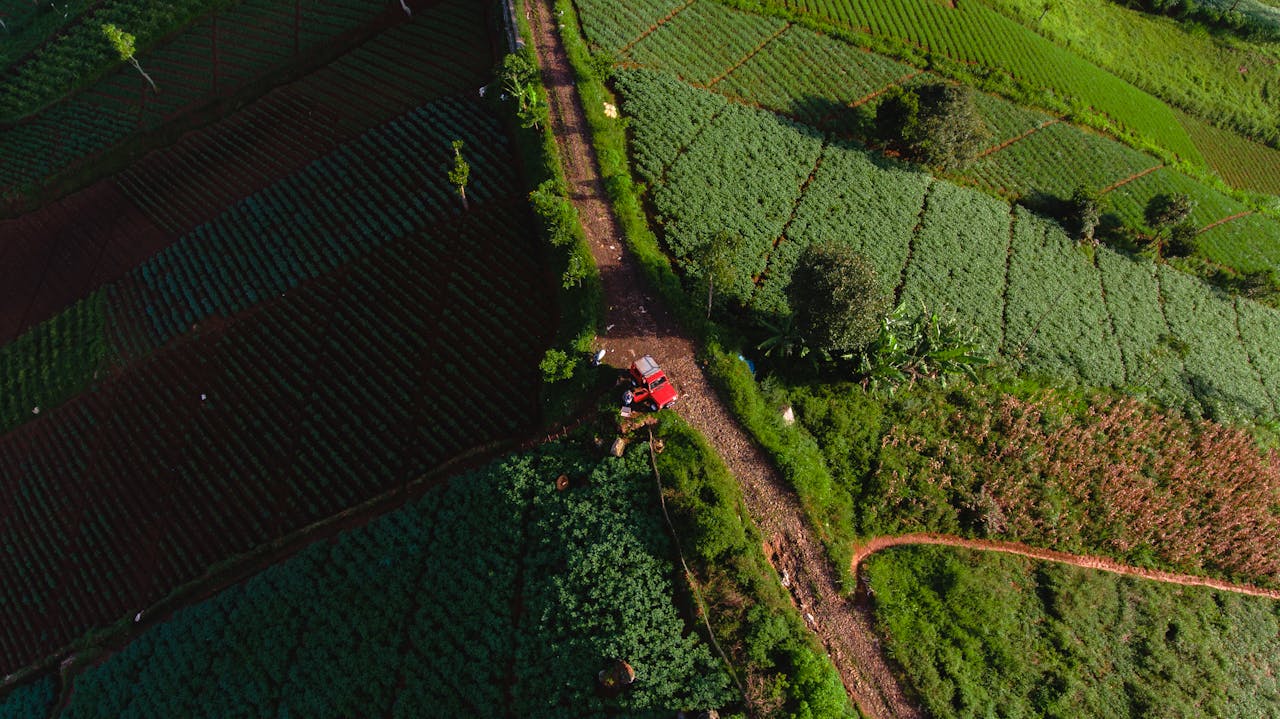 services-03 Aerial view of vibrant agriculture fields in Cimenyan, Indonesia with a red tractor.