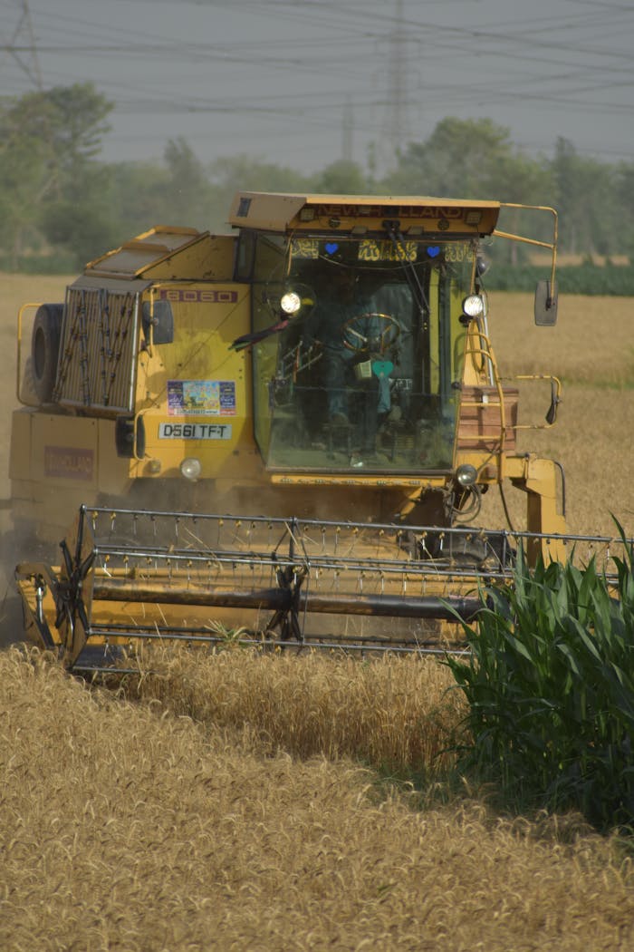 Combine harvester working in a wheat field during harvest season.