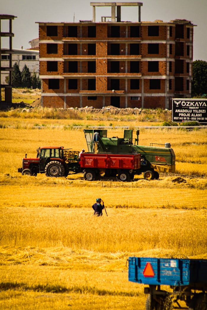 A vibrant scene of harvesting with farm machinery and unfinished buildings in the background.